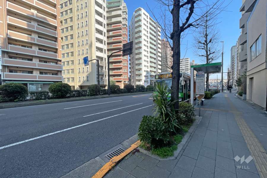 敷地西側の前面道路（南側から）