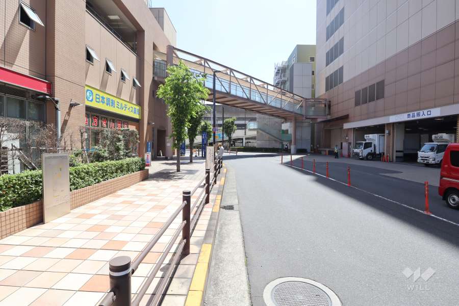 敷地南側の前面道路　　