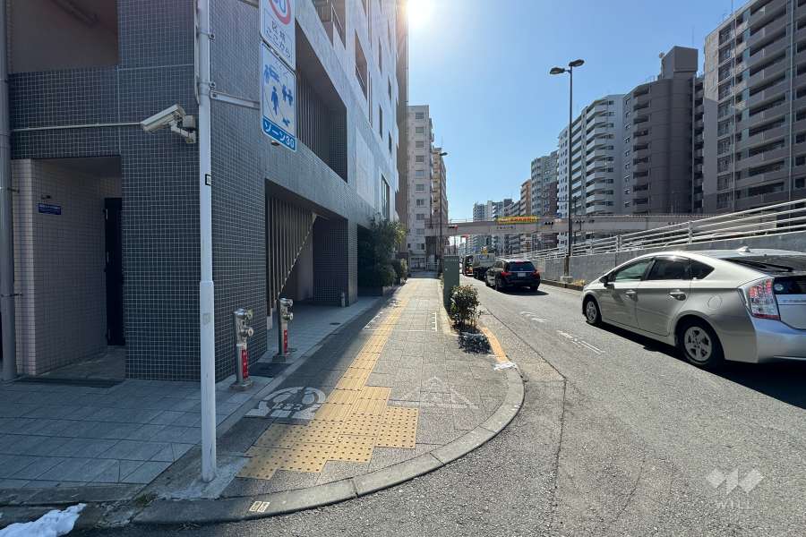 敷地の西側前面道路（北側から）