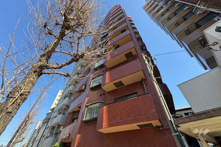 セザール北千住の外観（南西側から）