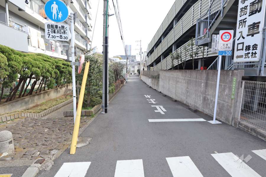 敷地南側の前面道路（西側から）