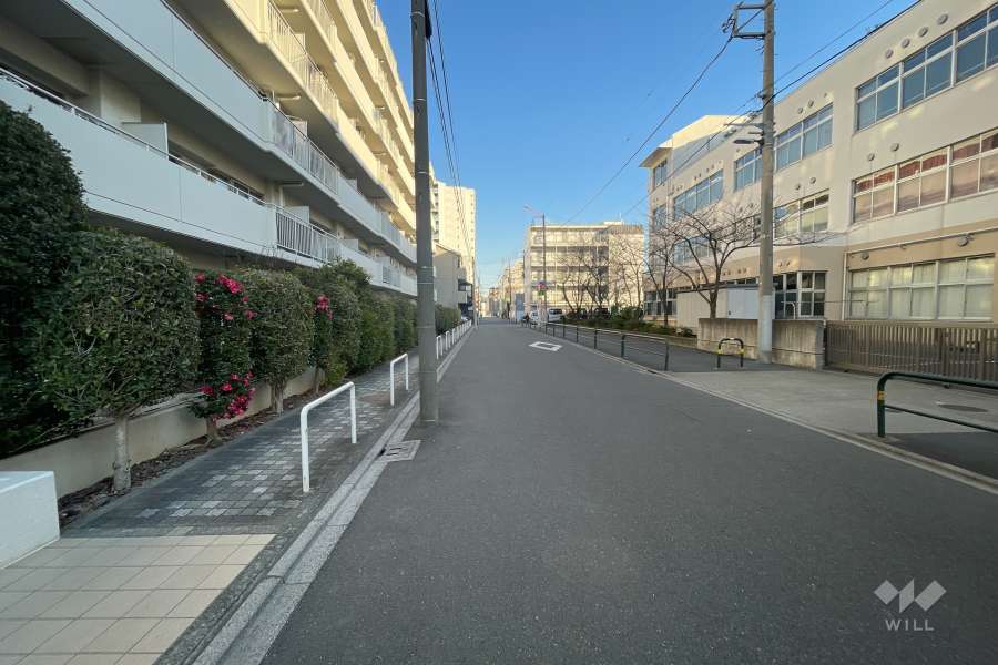 敷地南側の前面道路　