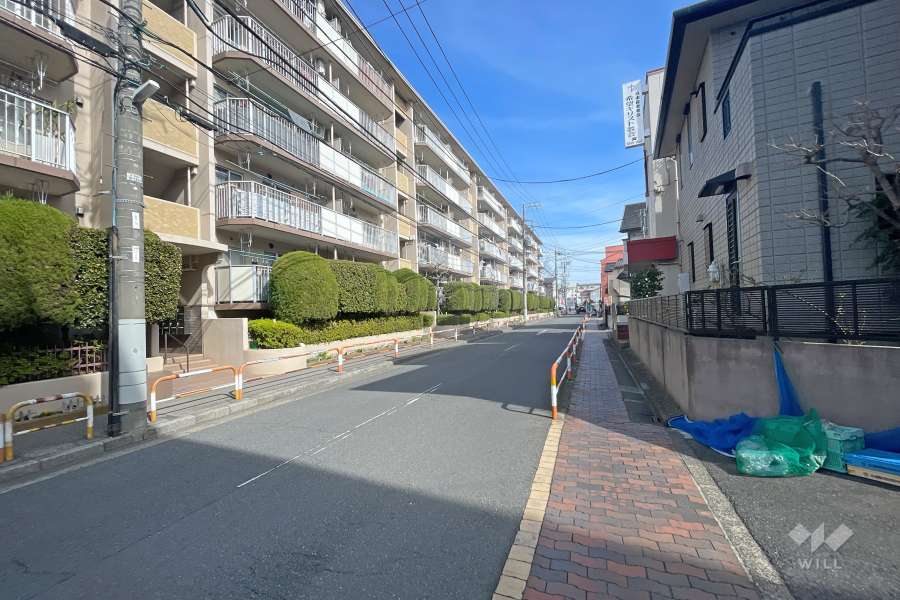 敷地南側の前面道路（西側から）