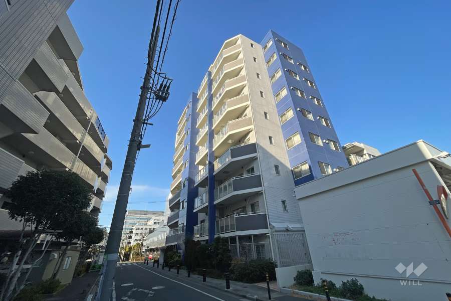エルフィーノ亀有の外観（南西側から）
