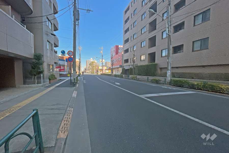 敷地の西側道路（北側から）