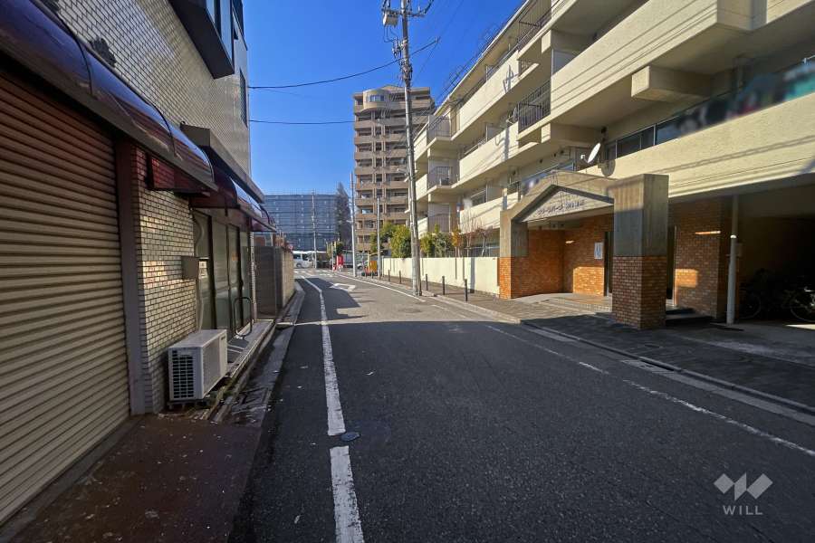敷地南側の前面道路（東側から）