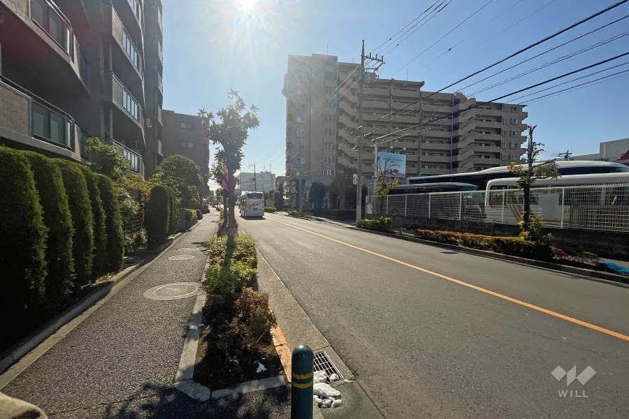 敷地西側の前面道路