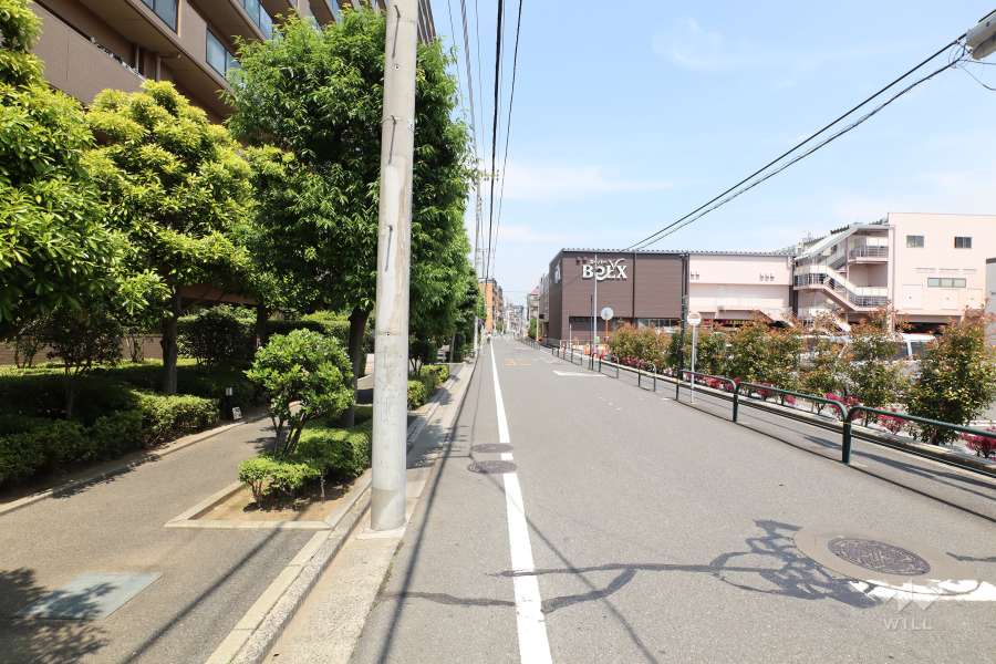 敷地の南側前面道路（西側から）