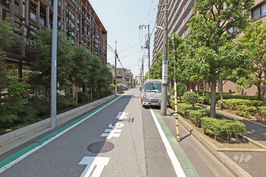 敷地の西側前面道路（南側から）