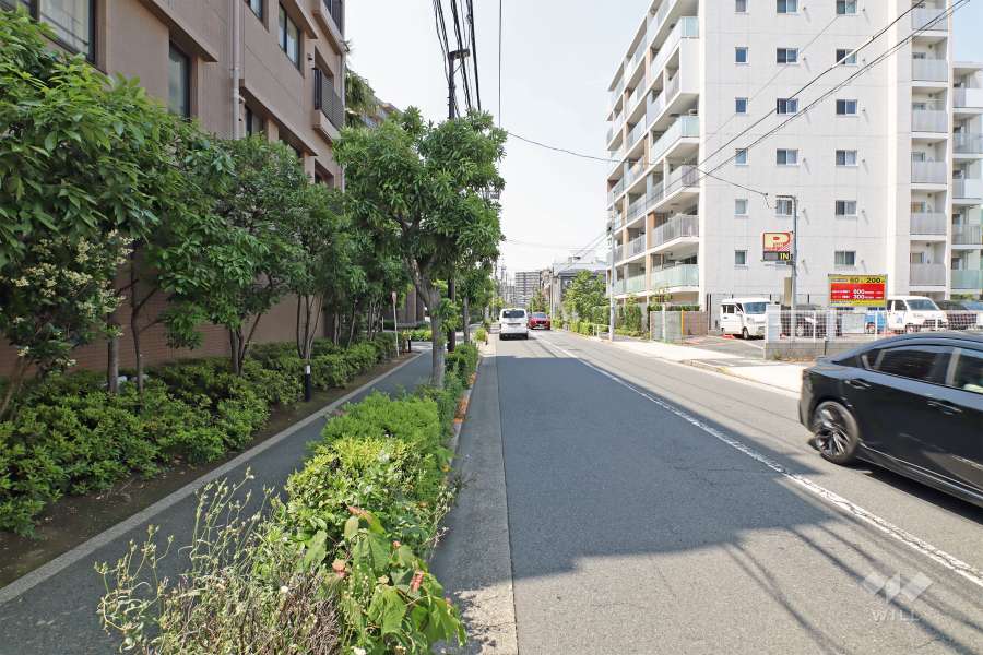 敷地の東側前面道路（南側から）