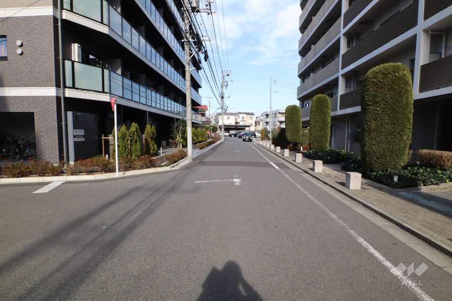 敷地西側の前面道路