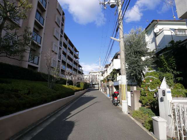 敷地東側の前面道路