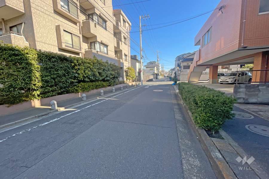 敷地南東側の前面道路（南西側から）