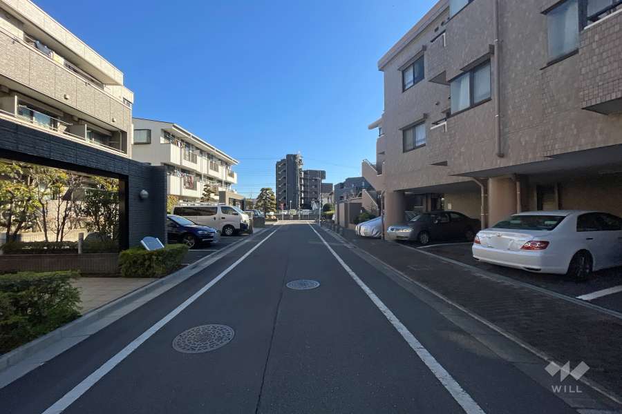 敷地北側の前面道路（西側から）