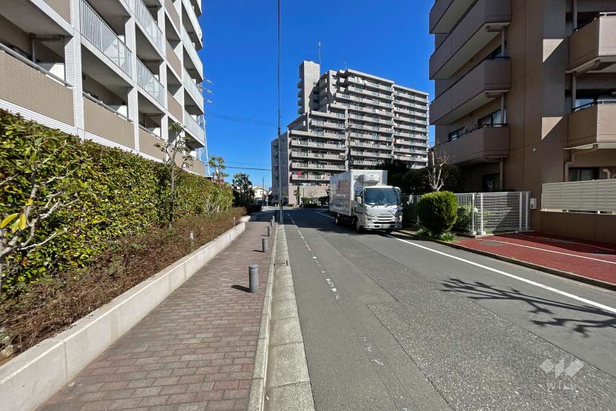 敷地北側の前面道路（西側から）