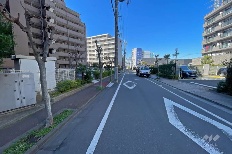 敷地東側の前面道路（南側から）