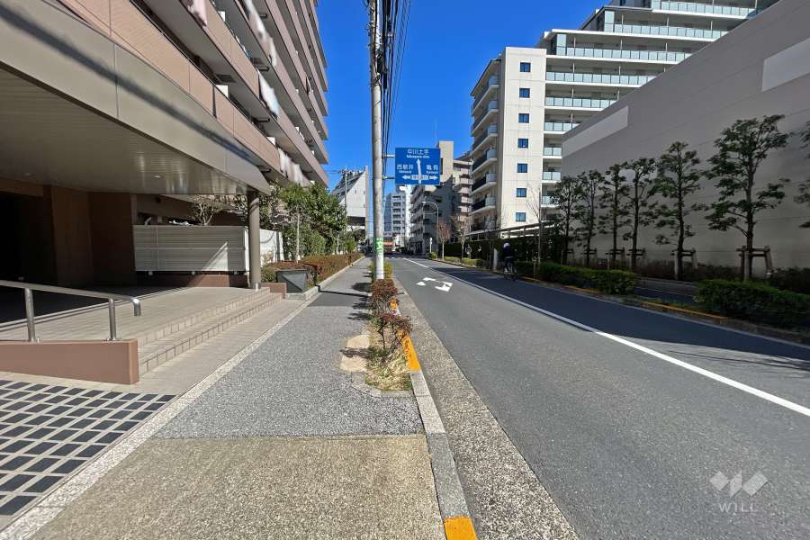 敷地南側の前面道路（西側から）