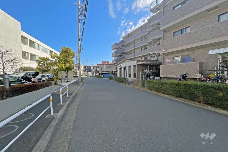 敷地北西側の前面道路（南西側から）