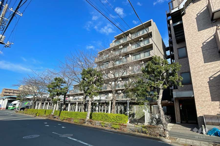 ライオンズステーションプラザ北綾瀬の外観（西側から）