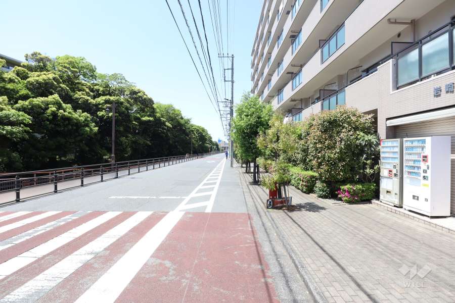 敷地南側前面道路（東側から）