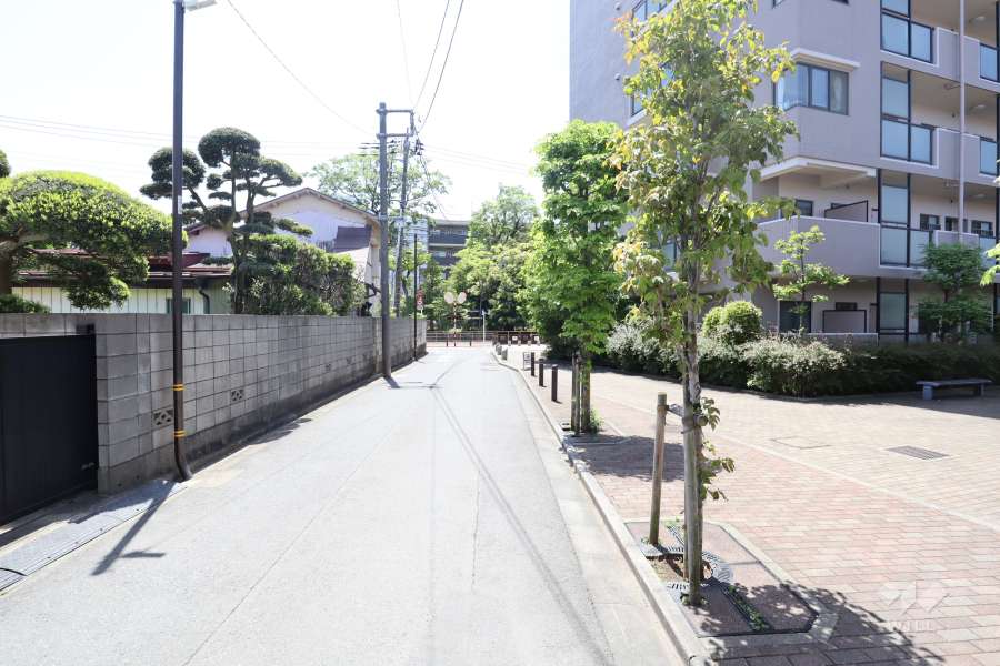 敷地の東側道路（北側から）