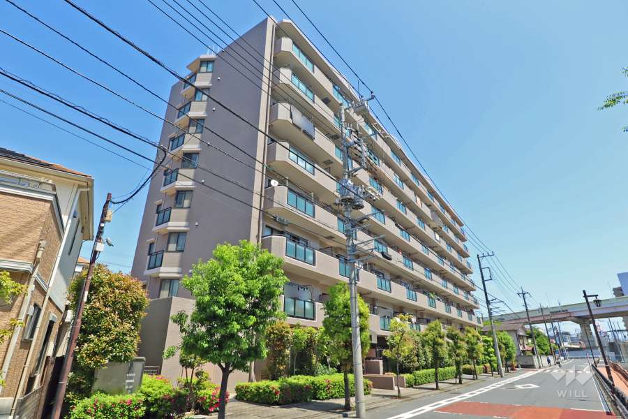 ライフプラザ綾瀬の外観（南西側から）