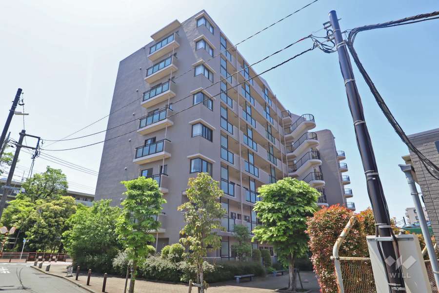 ライフプラザ綾瀬の外観（北東側から）