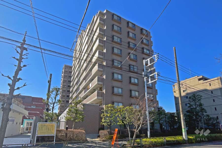 ラスティアガーデンの外観（北東側から）