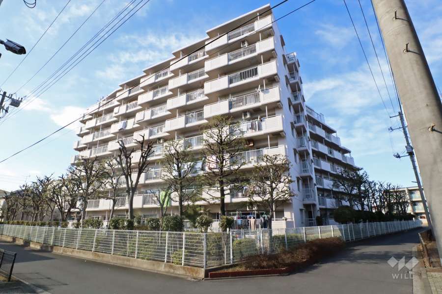 ルマージュ綾瀬の外観（南東側から）