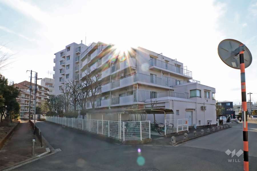 ルマージュ綾瀬の外観（北東側から）