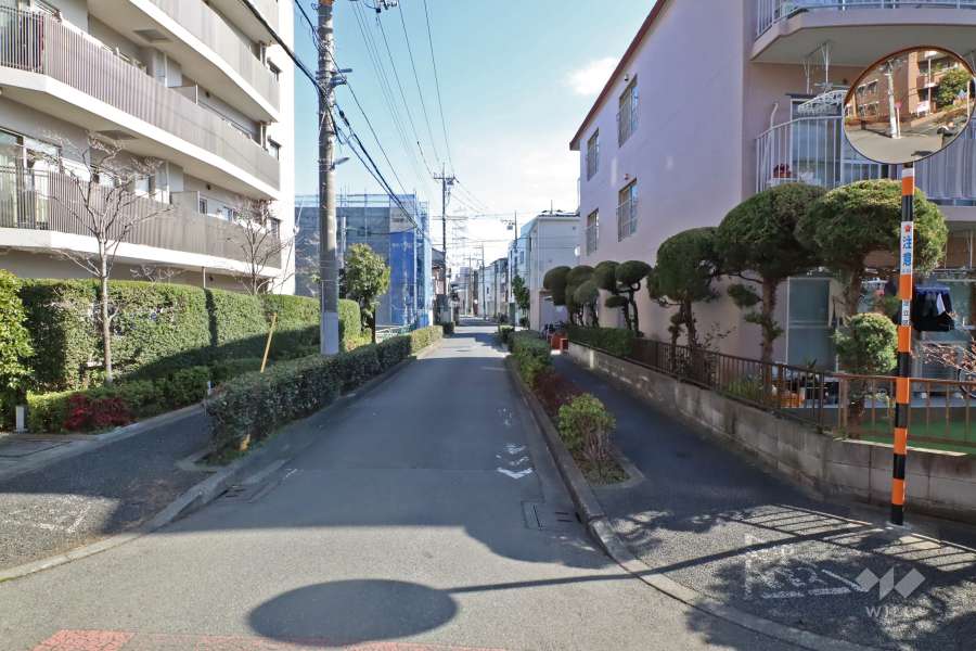 敷地北側の前面道路（西側から）