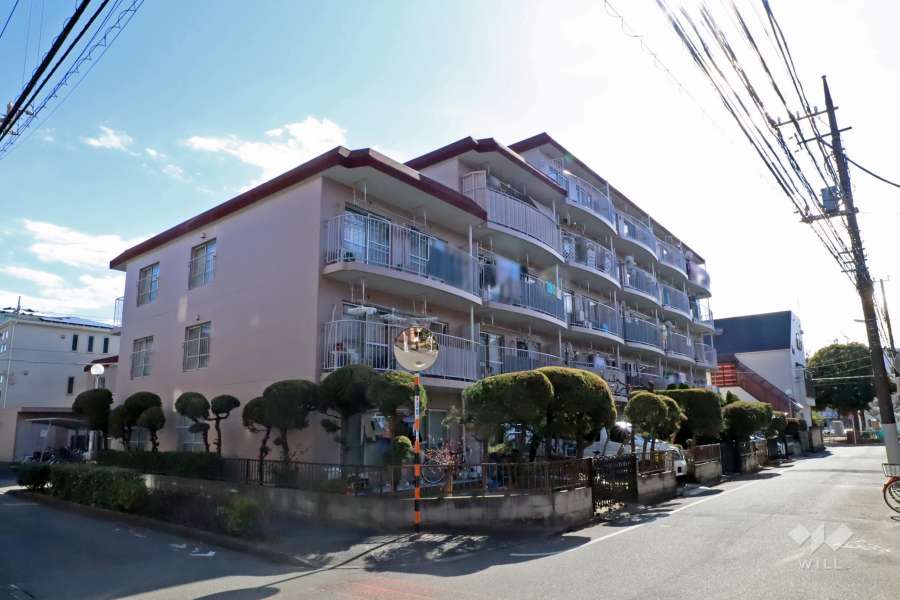 綾瀬ダイカンプラザの外観（北西側から）