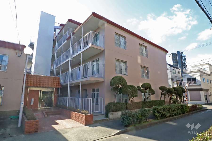 綾瀬ダイカンプラザの外観（北東側から）