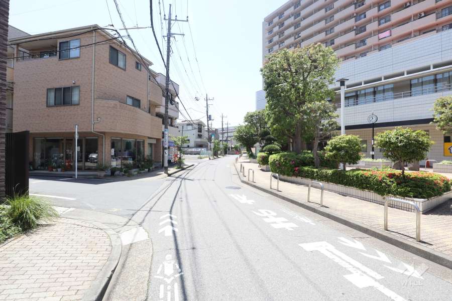 敷地東側の前面道路　