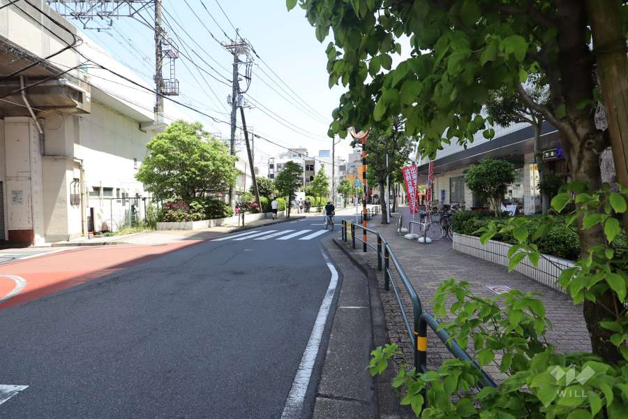 敷地北側の前面道路　