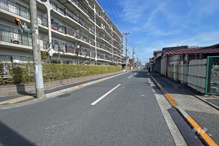 敷地南側の前面道路（西側から）