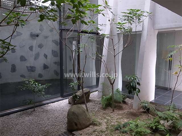 エントランスに面した坪庭