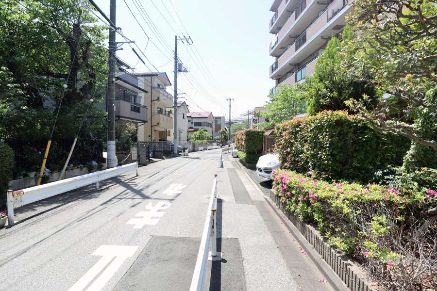 敷地の東側道路（北側から）