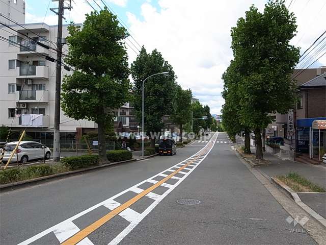 敷地北側の街路樹のきれいなバス通り