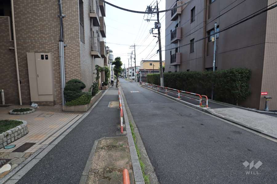 敷地西側の前面道路（北側から）