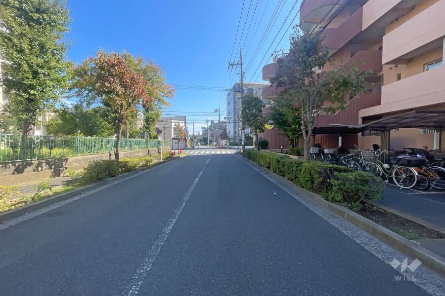 敷地北側の前面道路（西側から）