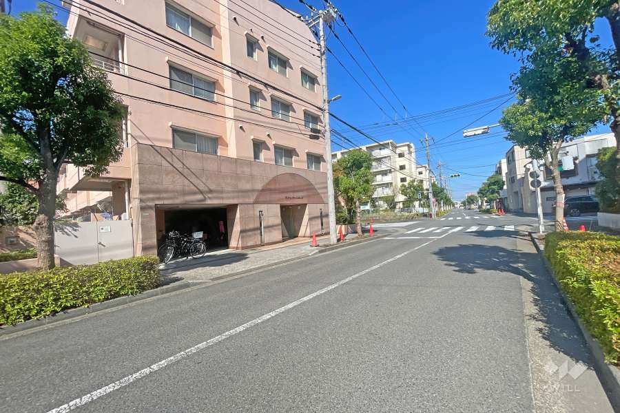 敷地東側の前面道路（南側から）