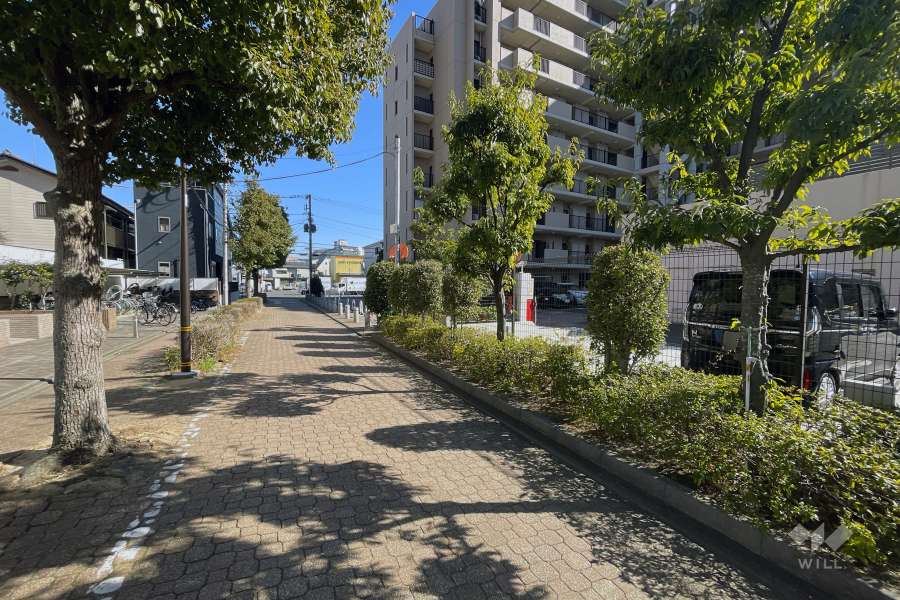 敷地の北側前面道路（西側から）