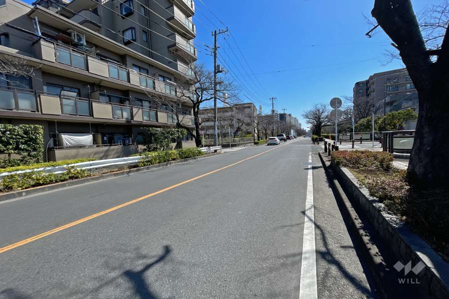 敷地西側の前面道路（北側から）