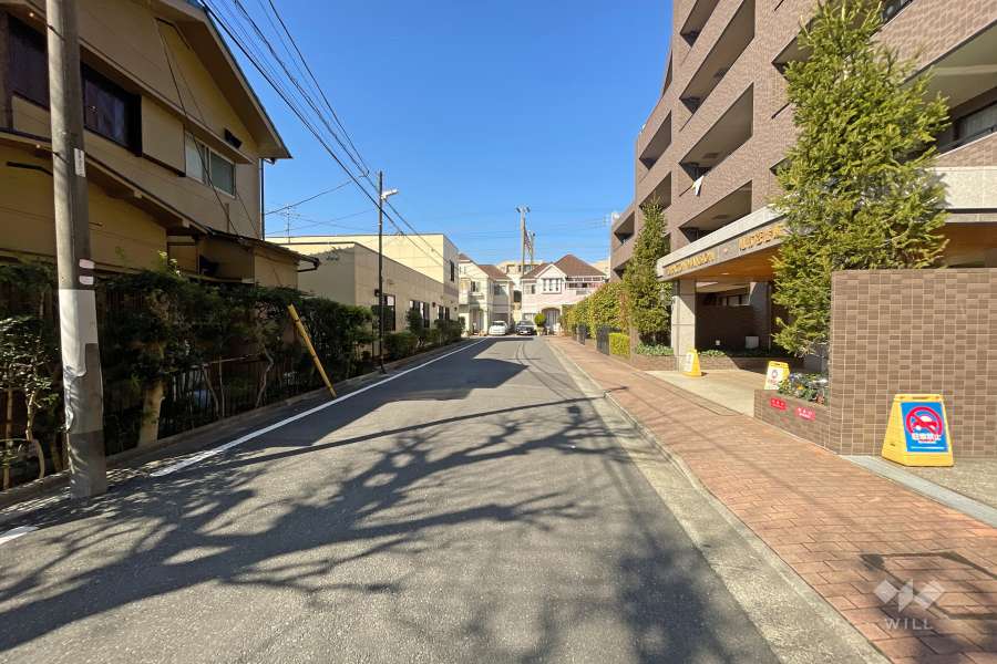 敷地西側の前面道路（南側から）