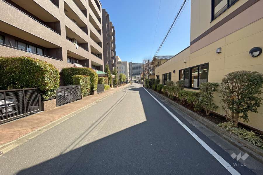 敷地西側の前面道路（北側から）