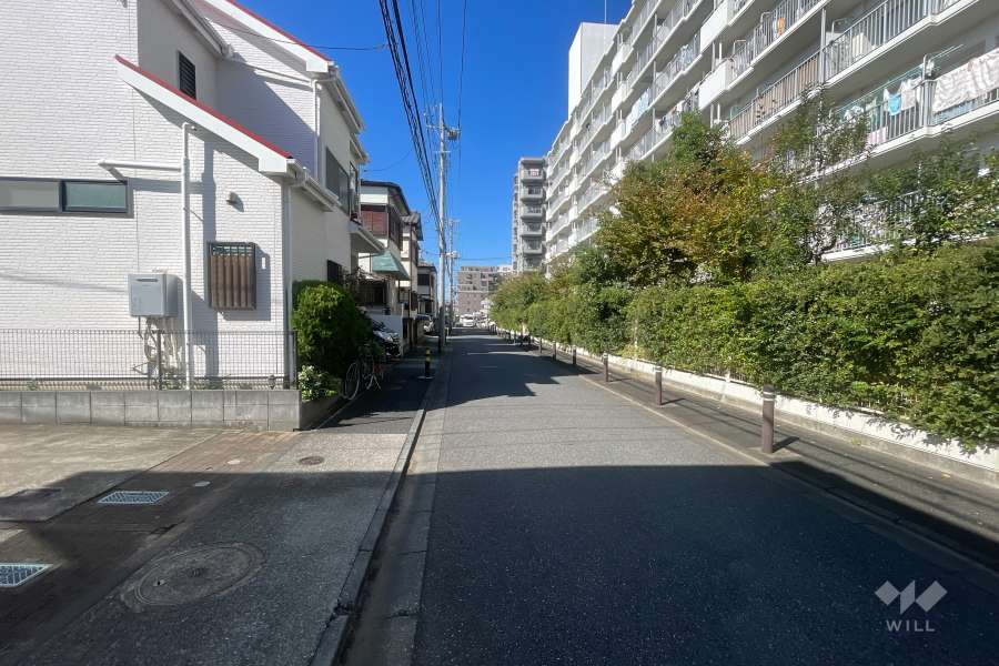 敷地の南側前面道路（東側から）