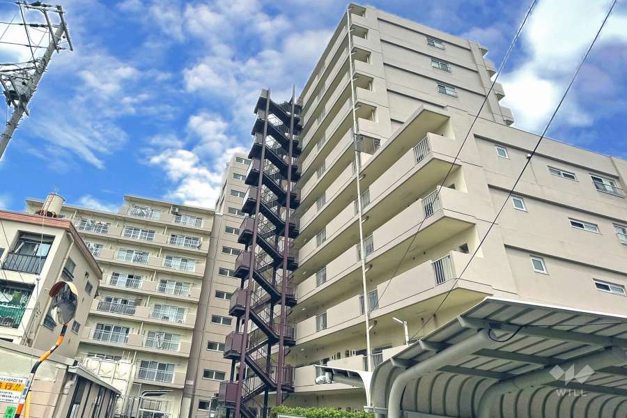 プレジデント中川の外観（南側から）