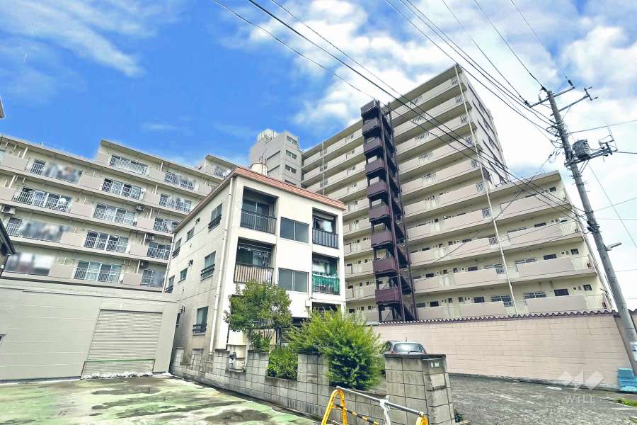 プレジデント中川の外観（南西側から）