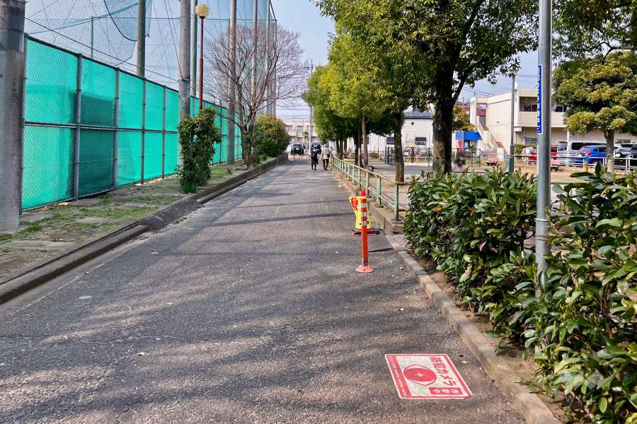 敷地西側の前面道路（南側から）